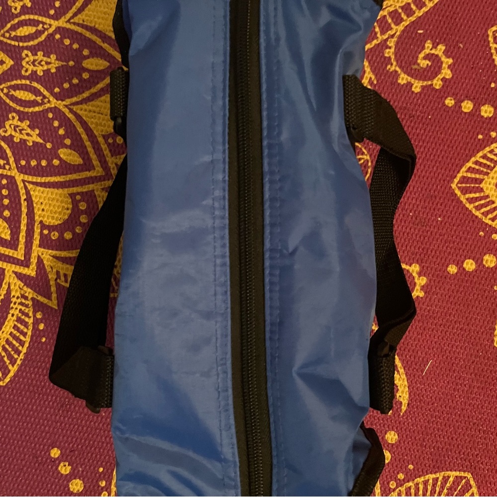 Blue travel/storage bag/case